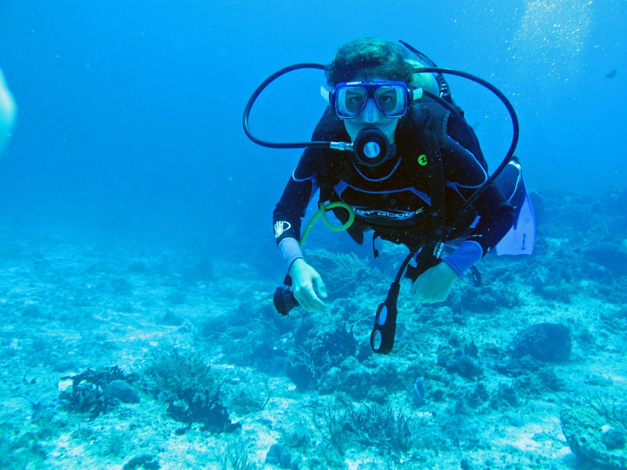 cancun scuba center