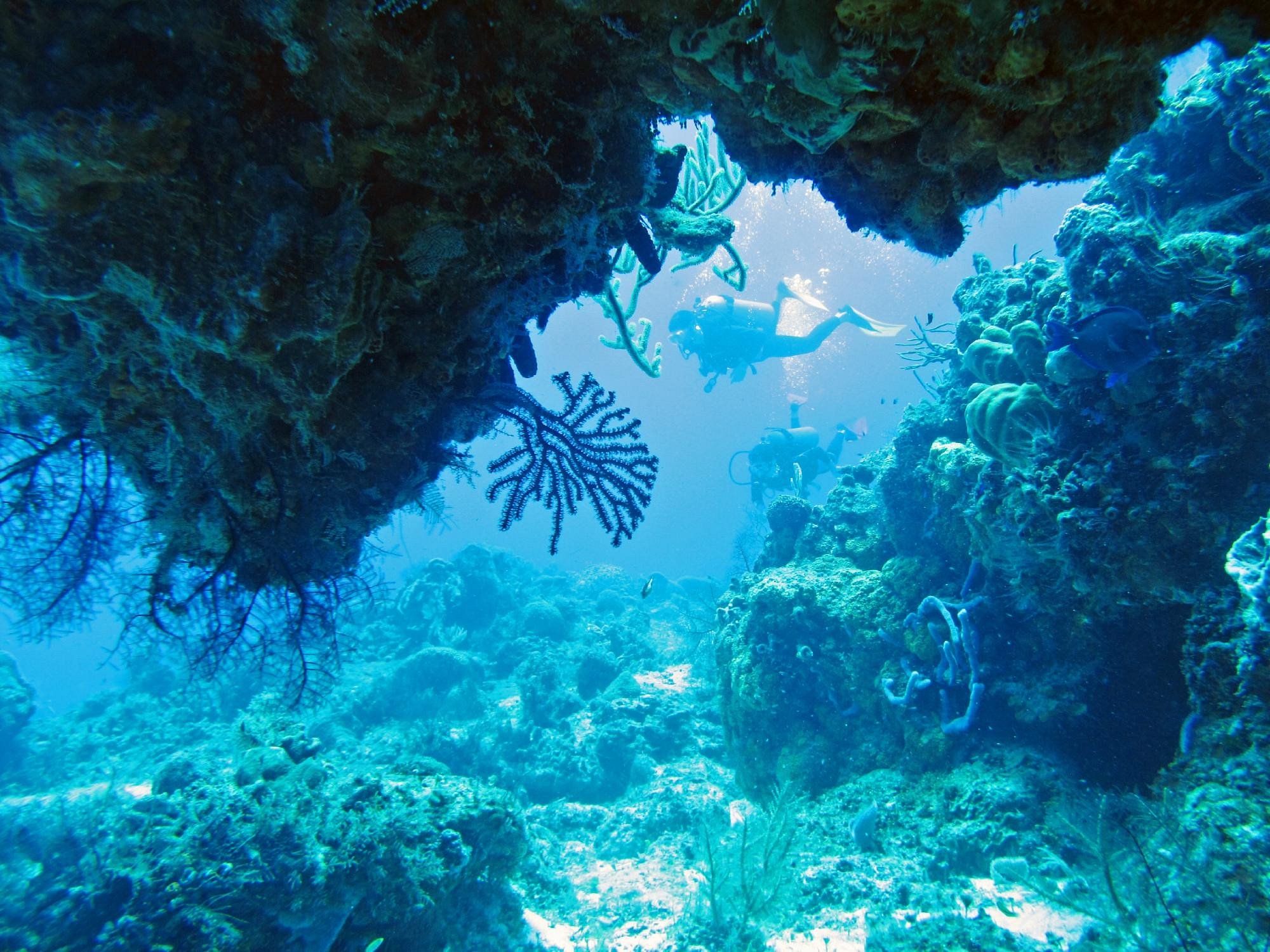 cancun scuba center