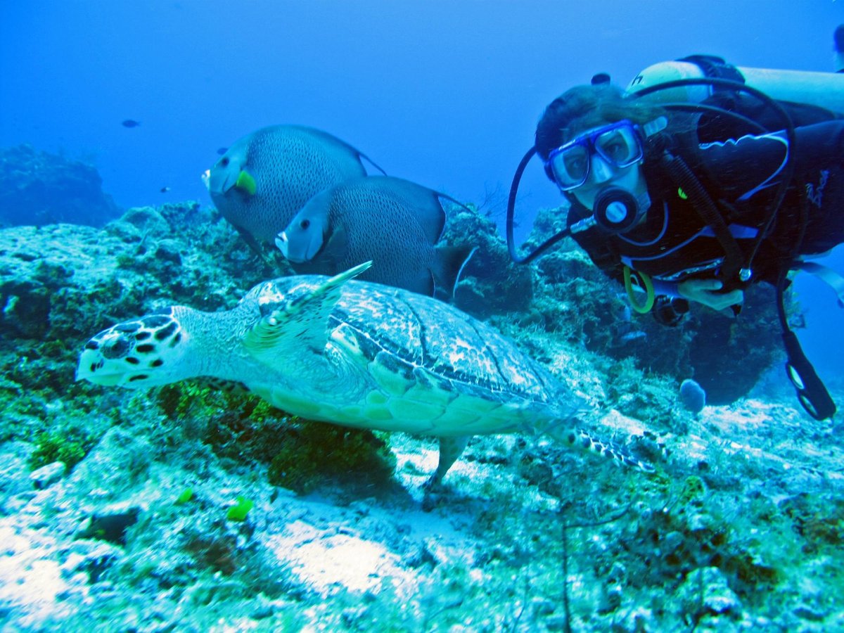 cancun scuba diving center