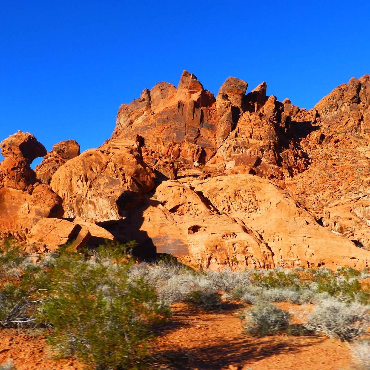 Las Vegas: Day Trip to Valley of Fire State Park 2023