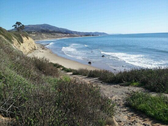 Carpinteria Harbor Seal Preserve And Rookery - 2022 All You Need To ...