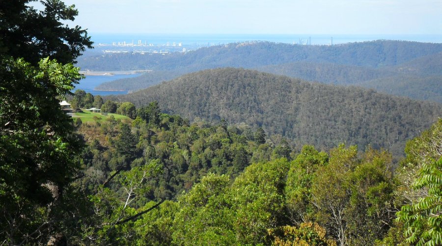 View from Mystery Mountain Farmstay Dining Room