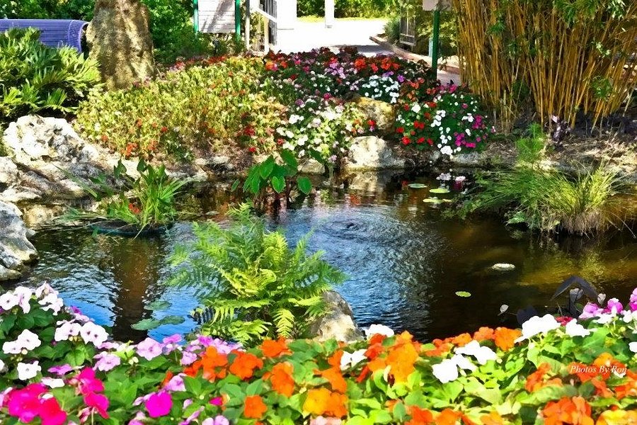 Florida Botanical Gardens image