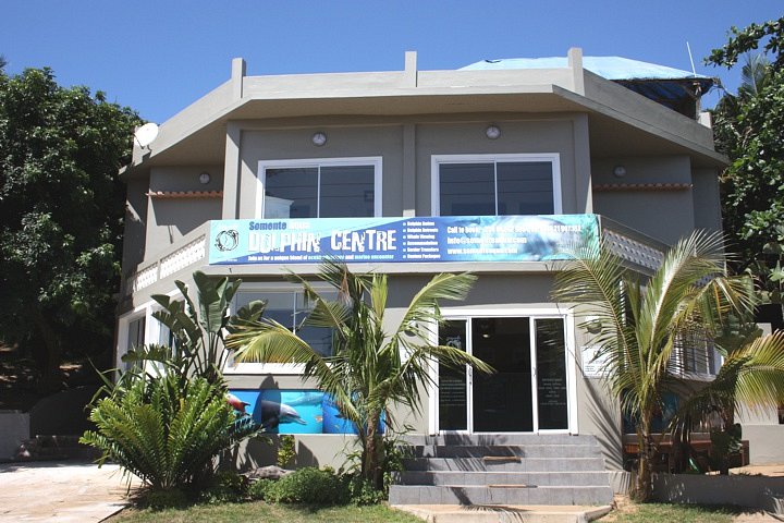 The Dolphin Centre image