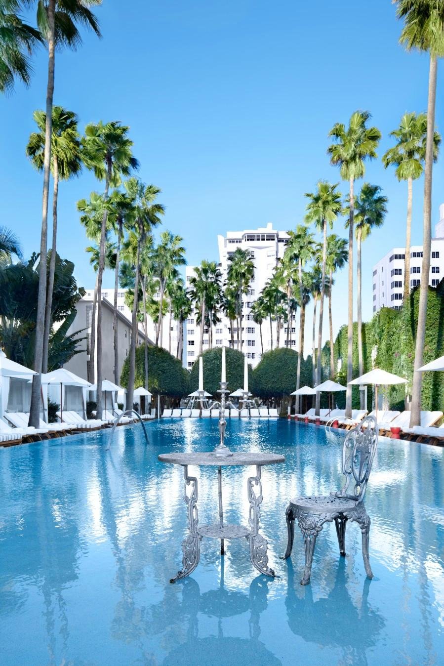 Delano South Beach Hotel Pool Pictures & Reviews - Tripadvisor