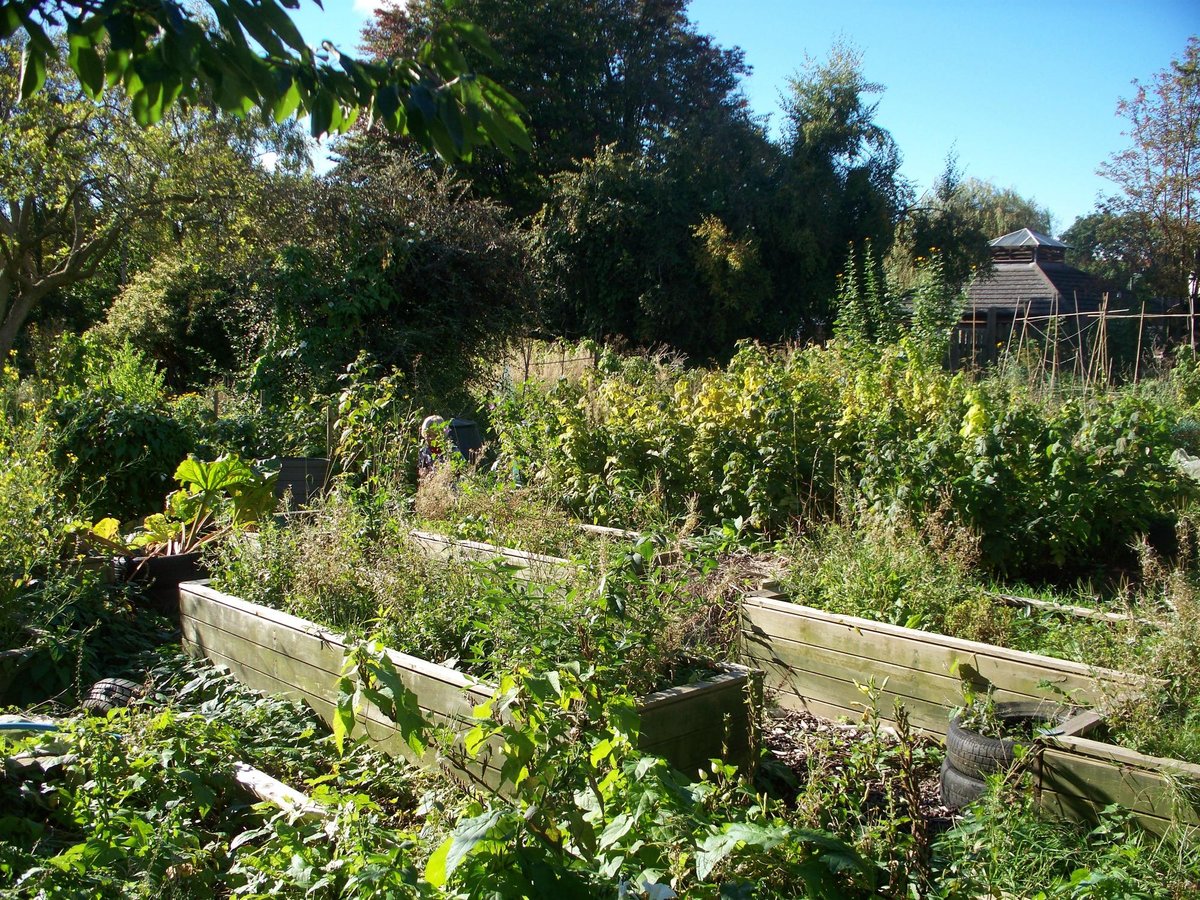 Windmill Hill City Farm Volunteering