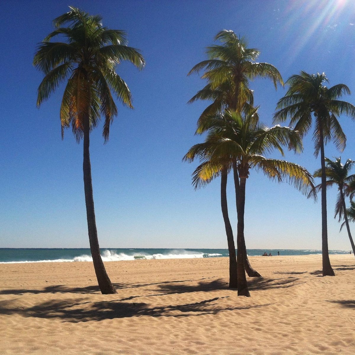 Las Olas Beach Fort Lauderdale 21 All You Need To Know Before You Go Tours Tickets With Photos Tripadvisor