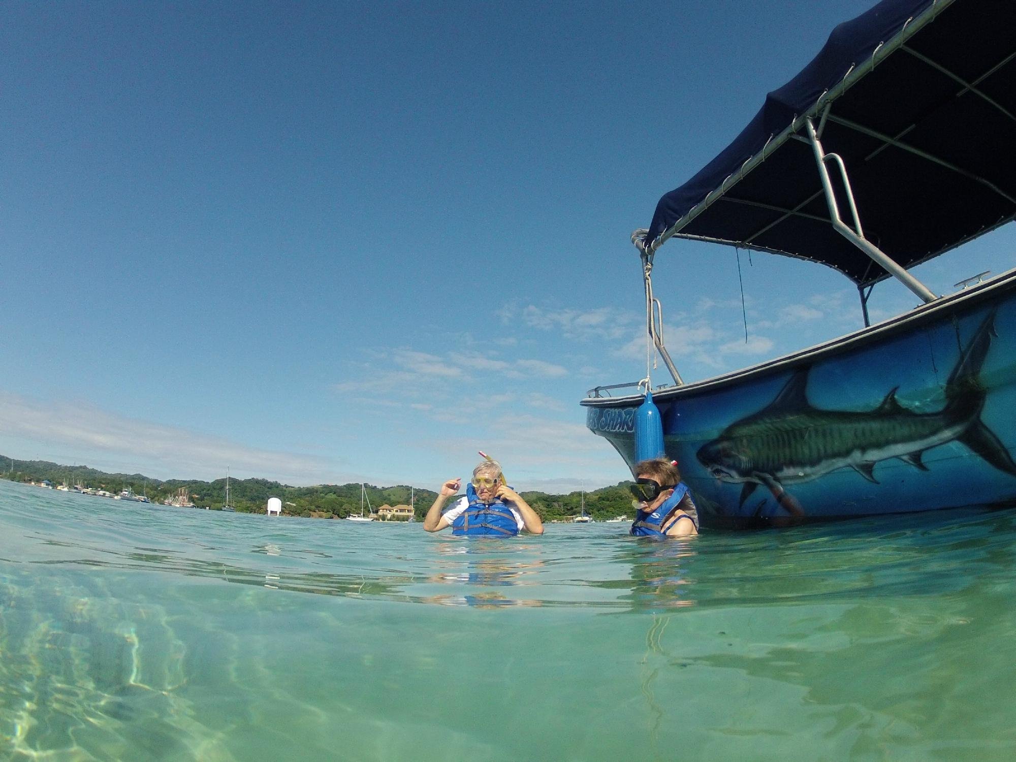 Roatan Ocean Adventures All You Need To Know Before You Go