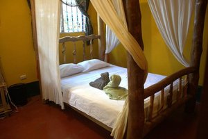 Room & Suite