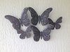 FloridaButterflies