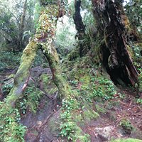 The easy part of the trail