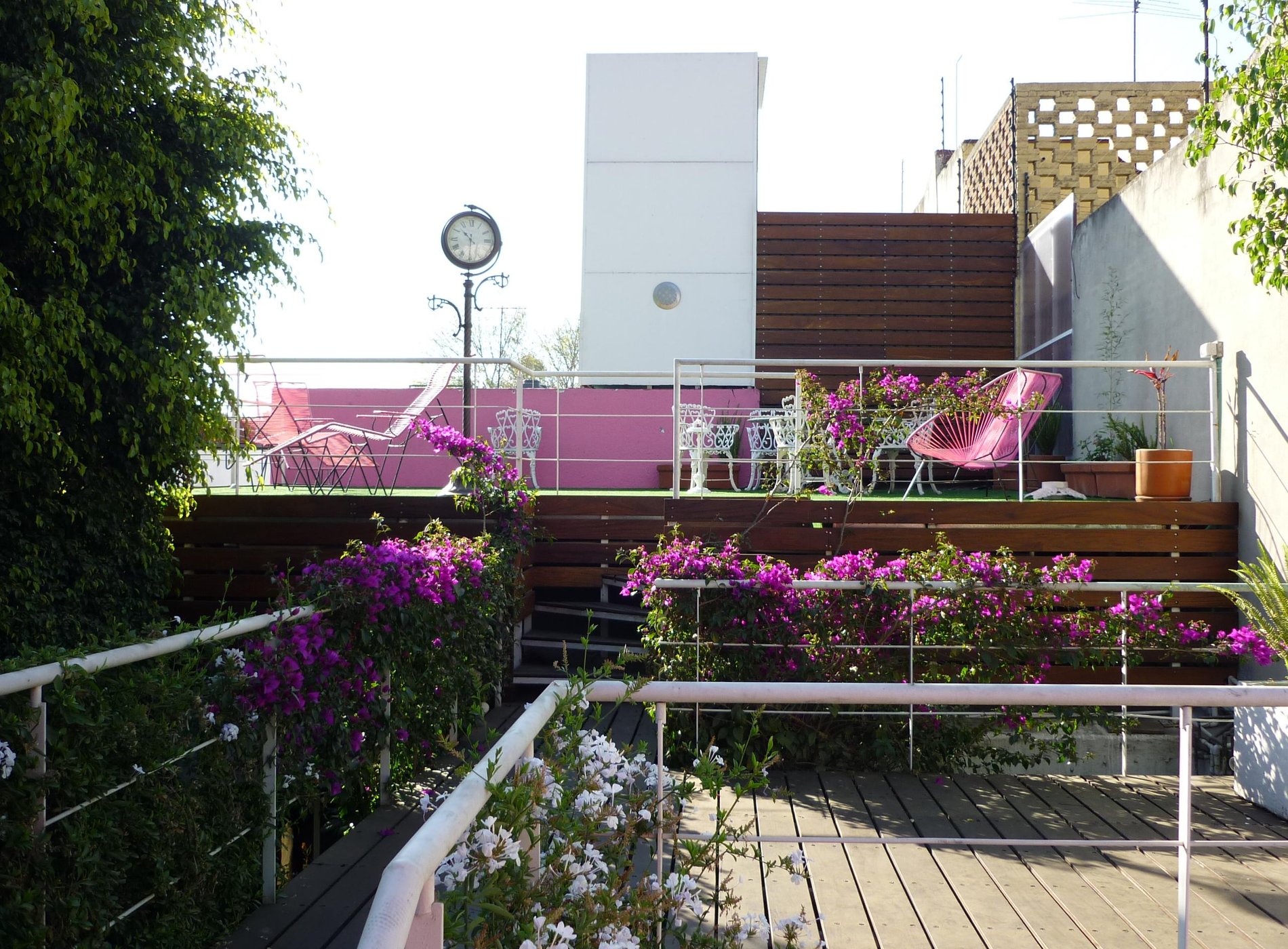 Hostal Cuija Coyoacan by null