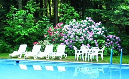 Reflections of  Rhododendrons by the pool