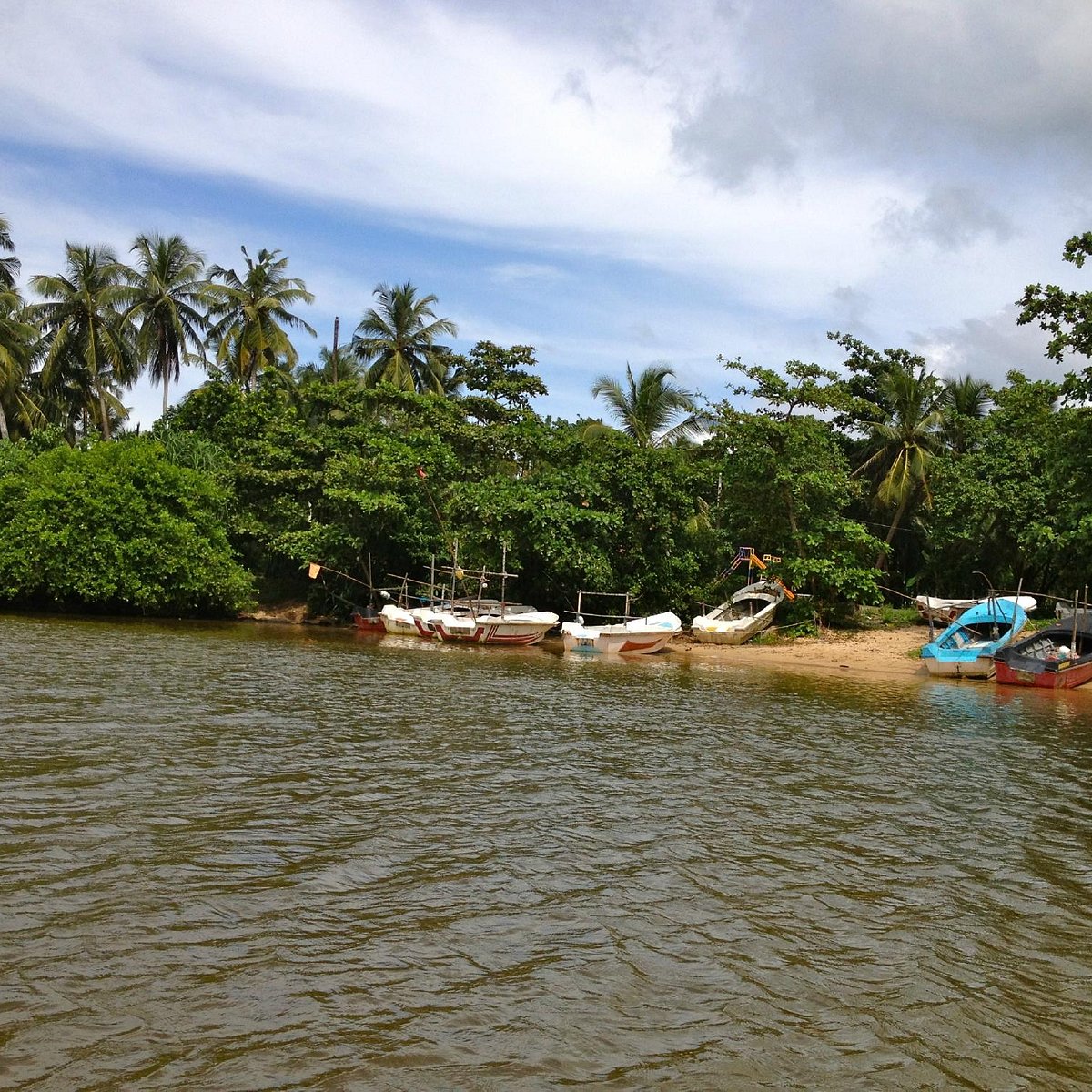 mangrove boat safari balapitiya