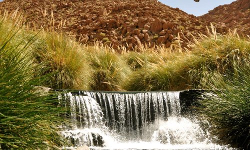 An oasis with waterfalls