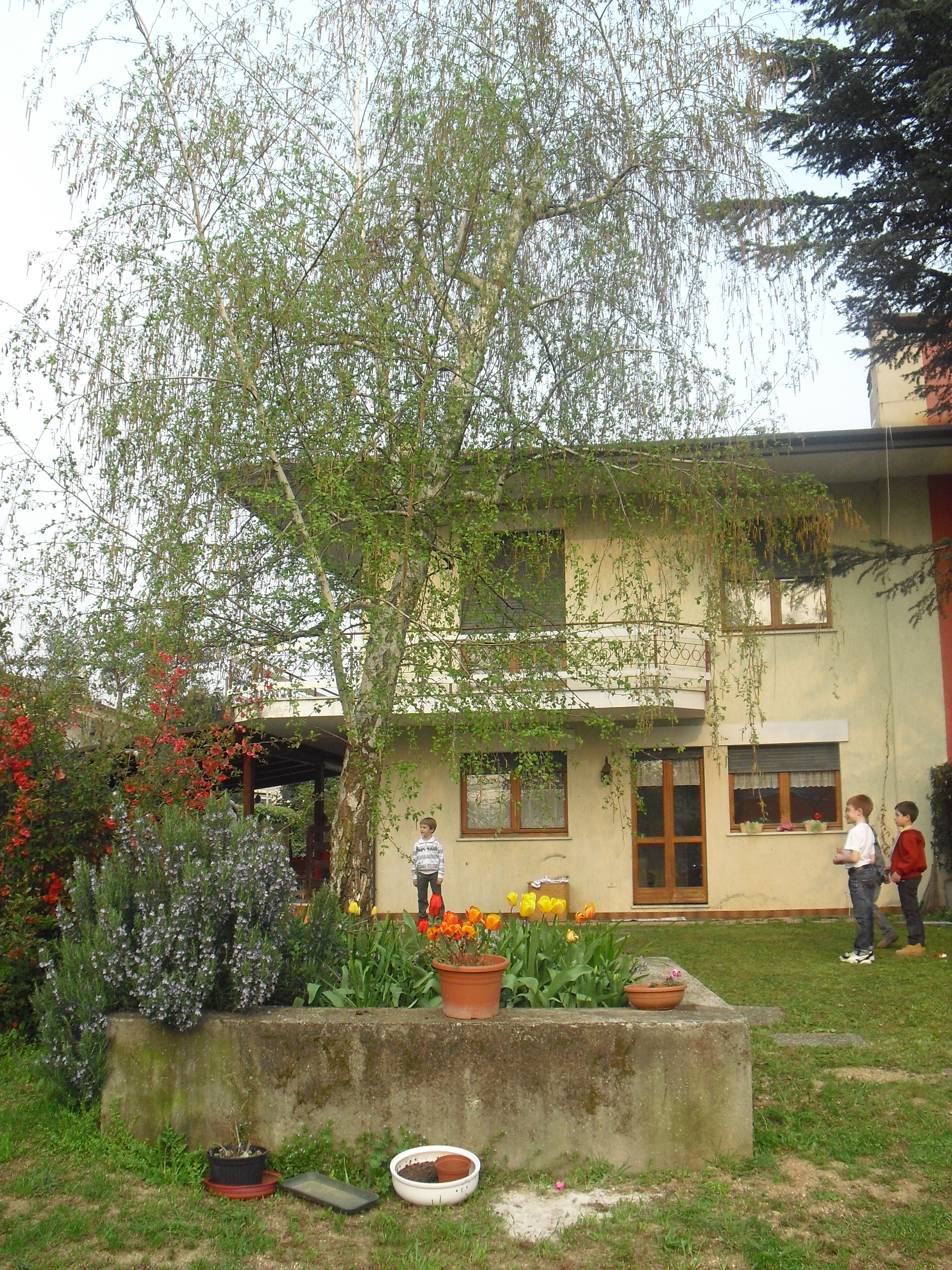 B&B THE GARDEN - Reviews (Montebelluna, Italy)