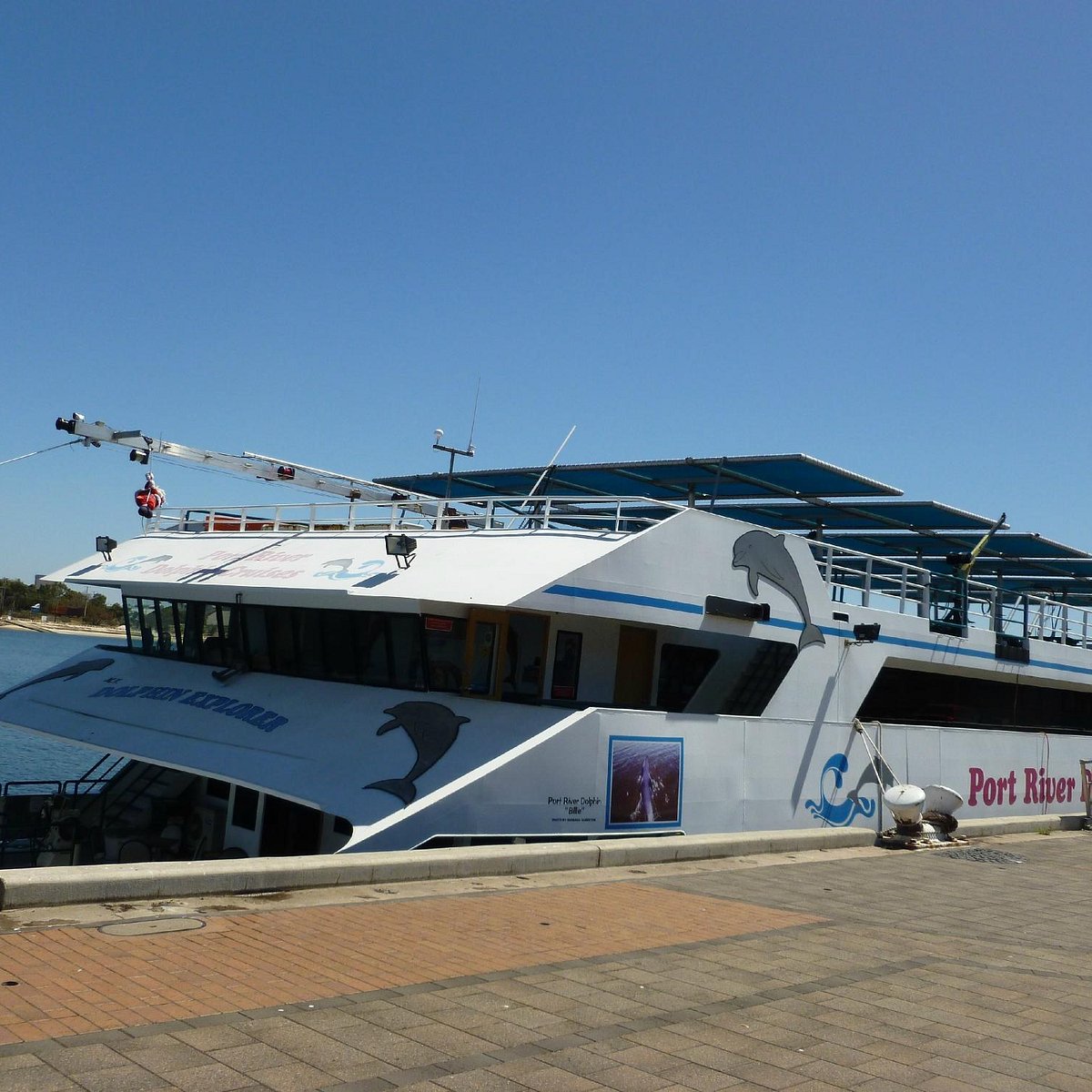 dolphin cruise port adelaide times