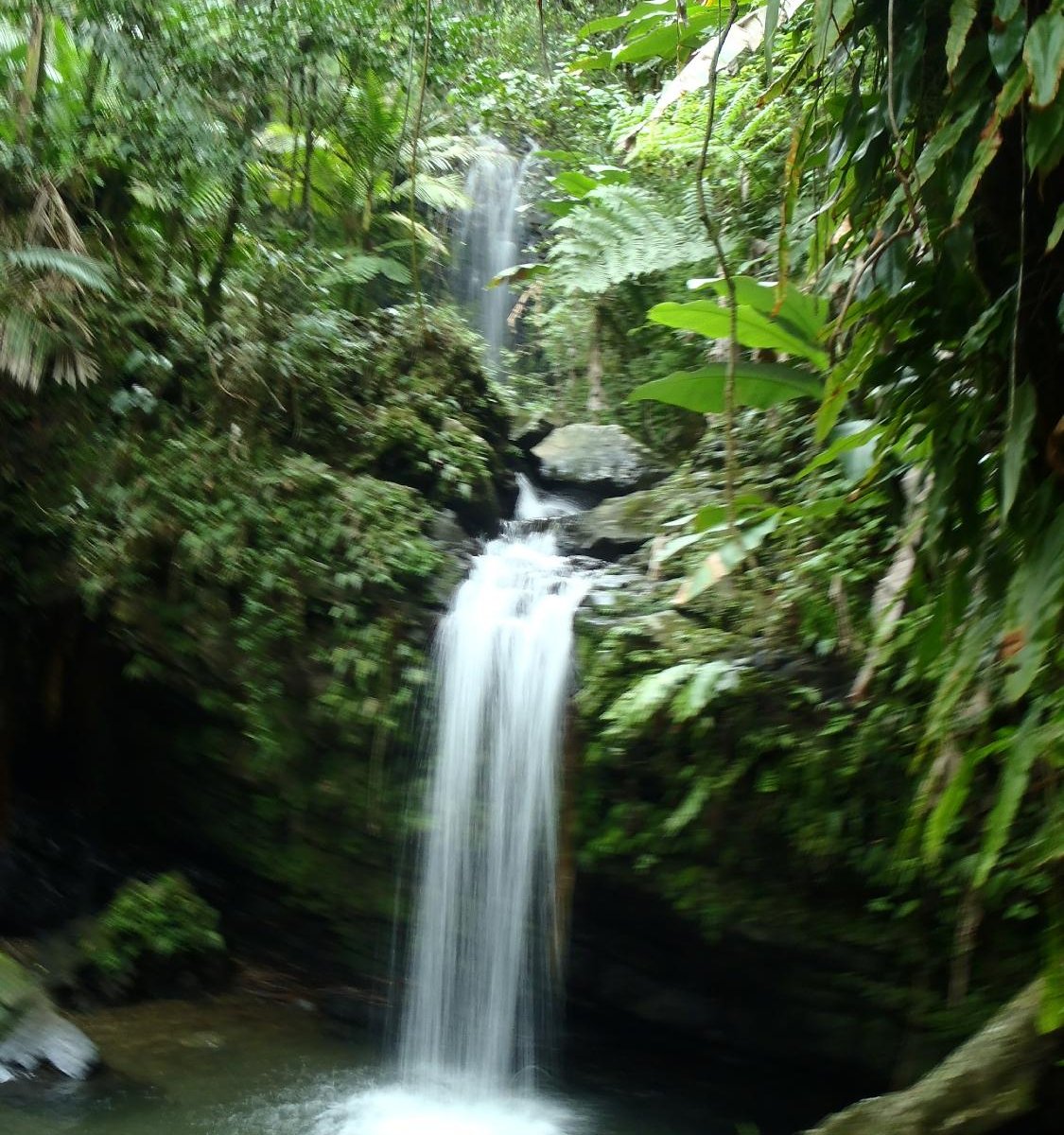 natural-wonders-puerto-rico-san-juan-atualizado-2022-o-que-saber