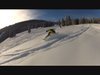 shredDaily