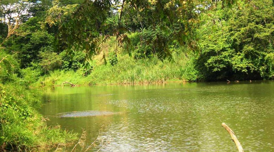 Macal River