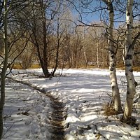 The trail with snow