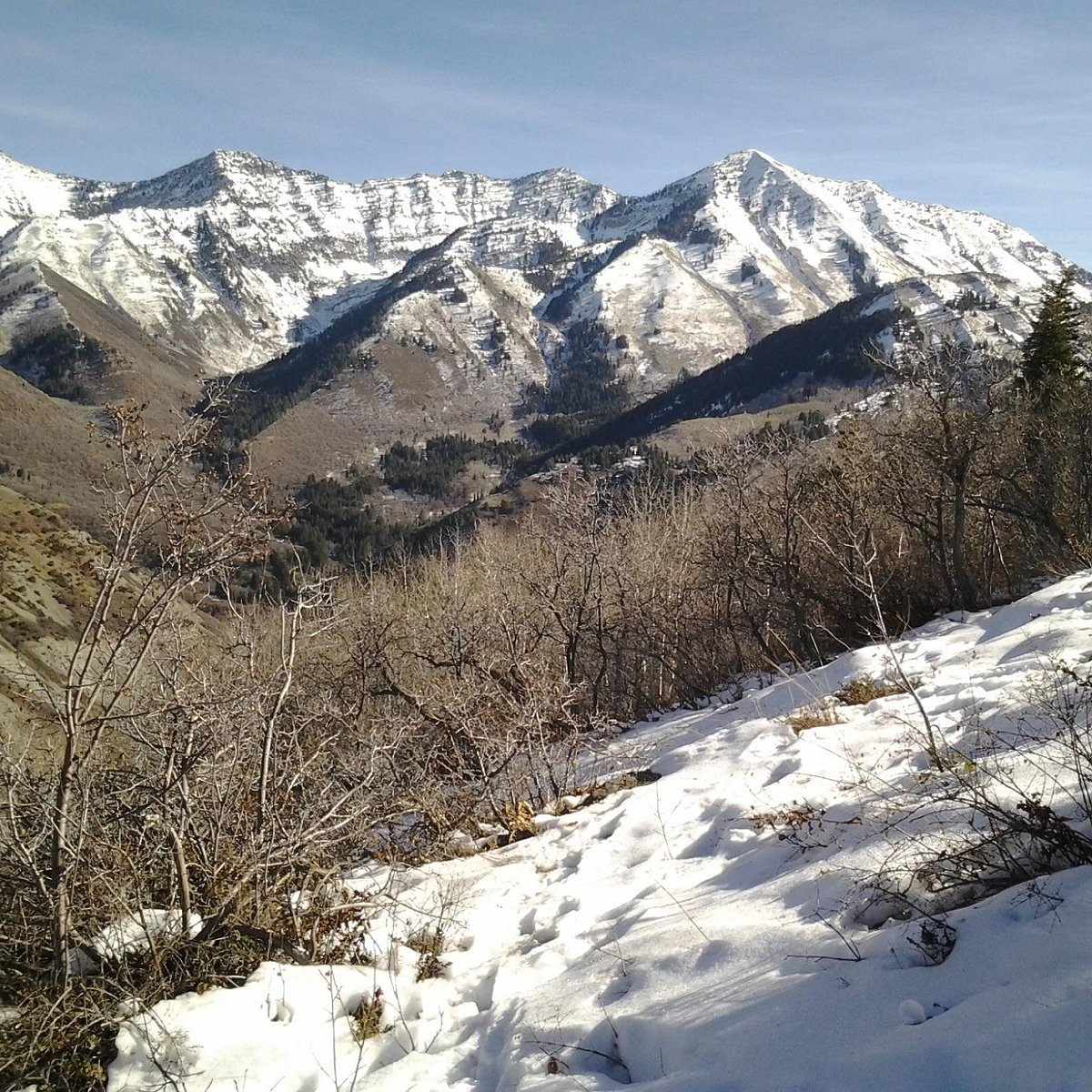 Rock Canyon Park Trail