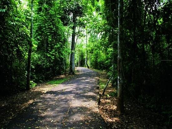 Semana Chico Mendes se inicia hoje no Acre