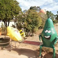 Funny Fruits