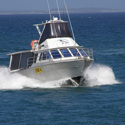 The Best Esperance Boat Rides Tours Water Sports Tripadvisor