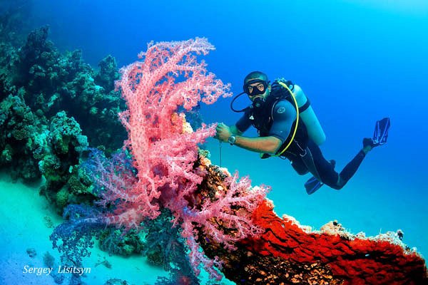 Dive Hurghada - All You Need to Know BEFORE You Go (with Photos)