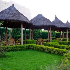 Garden
