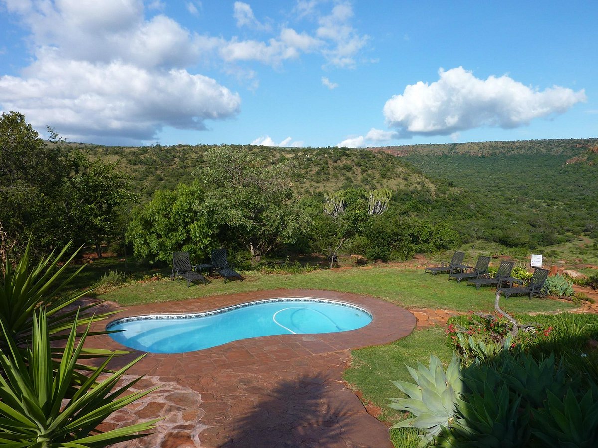 Iketla Lodge Pool Pictures And Reviews Tripadvisor