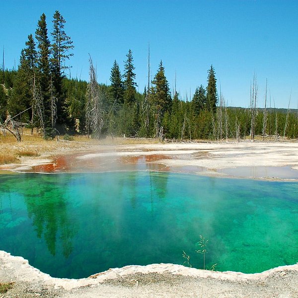 THE 10 BEST Hotels in Yellowstone National Park, WY 2024 (from 282