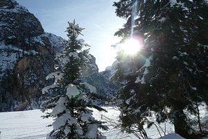 le ciabatte in feltro a disposizione per gli ospiti :) - Foto di Blasla  Hof, Valle di Casies - Tripadvisor