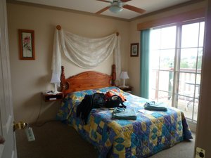 Room & Suite