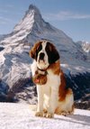 Norm_traveler