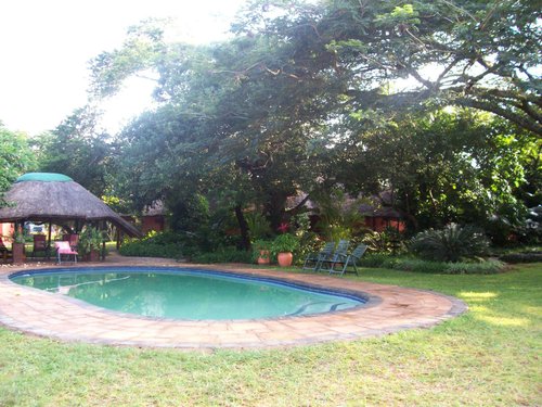 BUSHBABY LODGE & CAMPING - Prices & Reviews (Hluhluwe, South Africa)