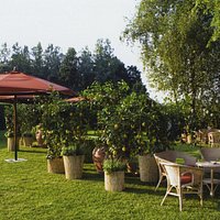 Il giardino