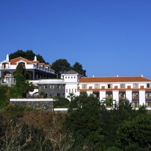 Panoramic View