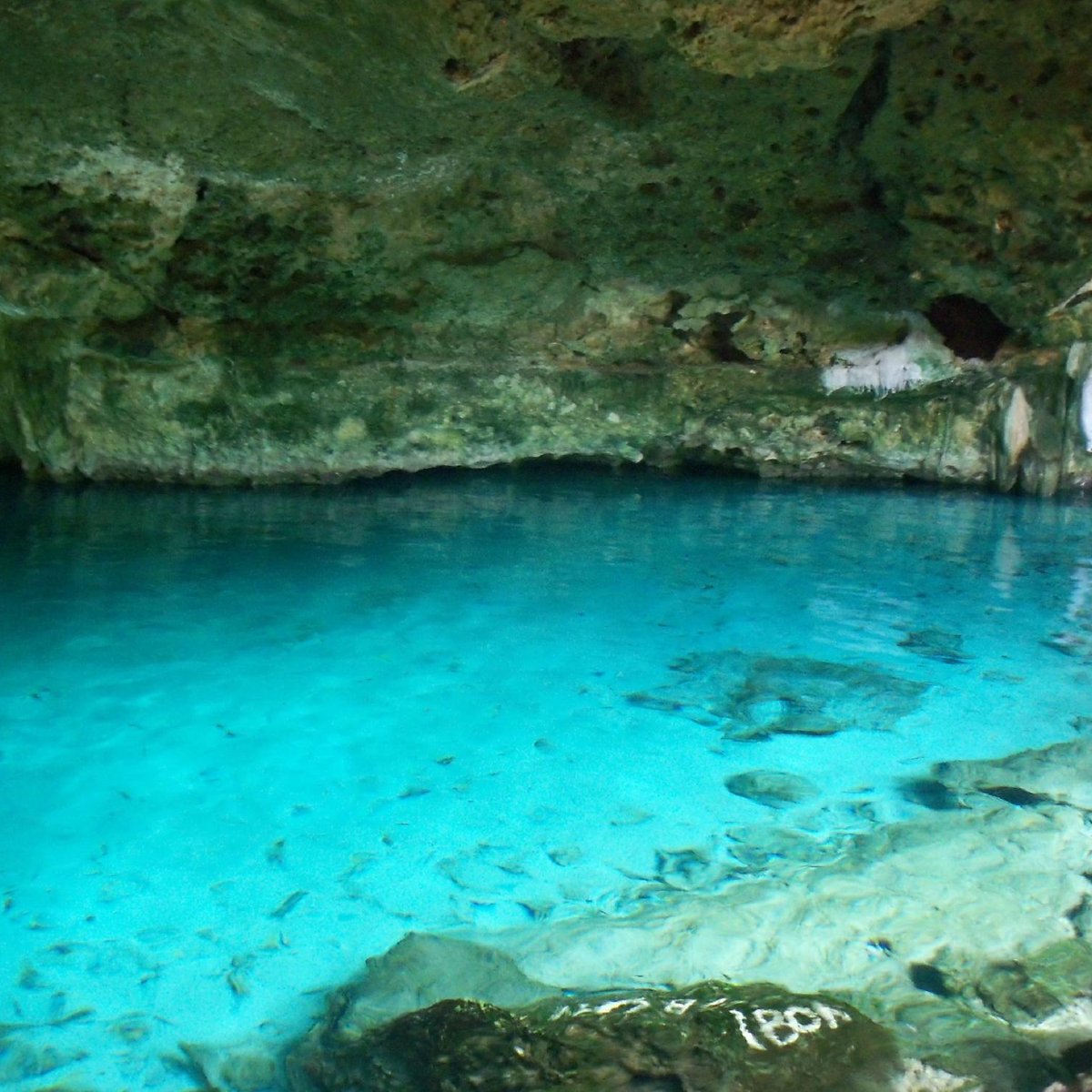 Cenote 7 Bocas (Puerto Morelos) - Alles wat u moet weten VOORDAT je ...