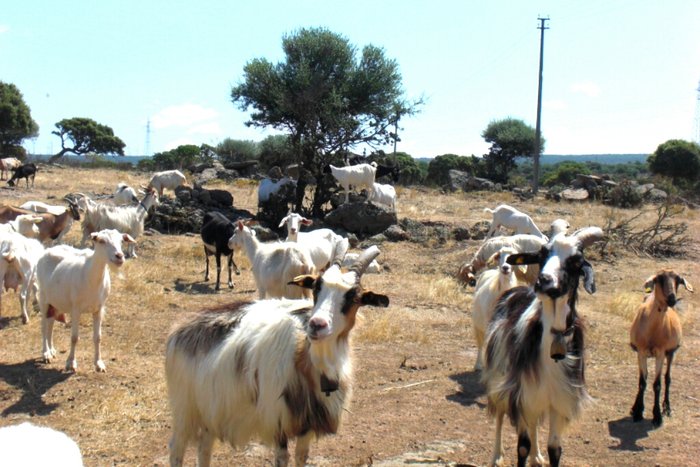  Le Bianchette Agriturismo e Fattoria Didattica ,  Sommacampagna, Itália - 101 Avaliações dos hóspedes . Reserve seu hotel  agora mesmo!