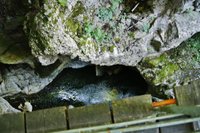 Les Gorges du Fier - Lovagny - Lake Annecy Tourist Office