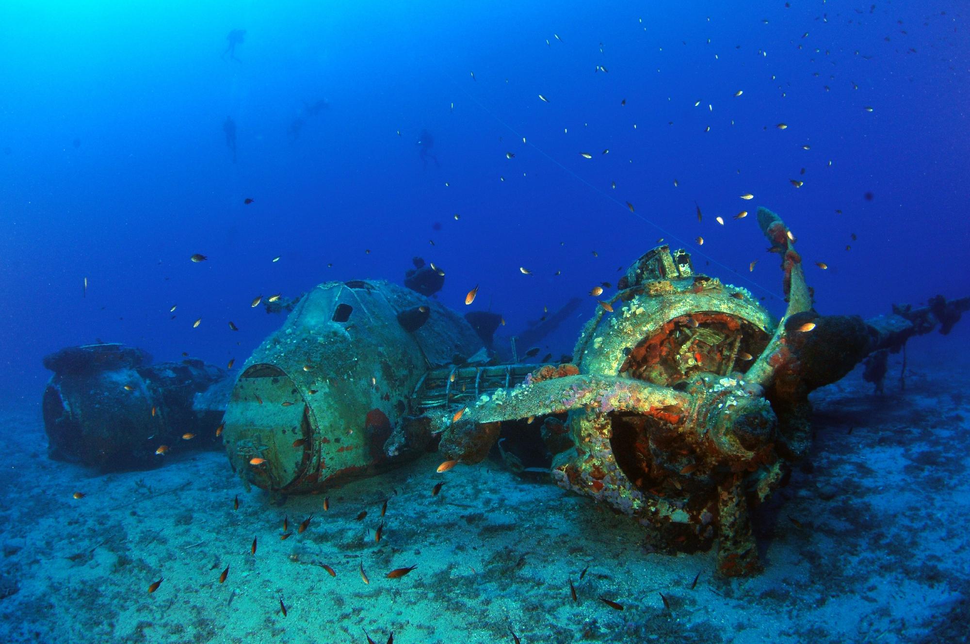 BLUE FIN DIVERS NAXOS GREECE - All You Need to Know BEFORE You Go