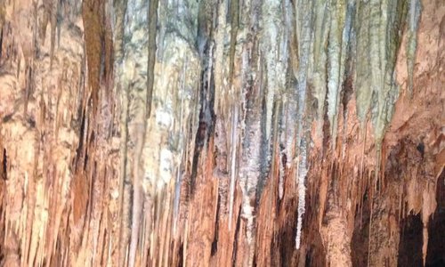 Mammoth Cave 1
