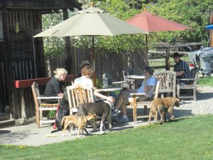 Family and Play Areas