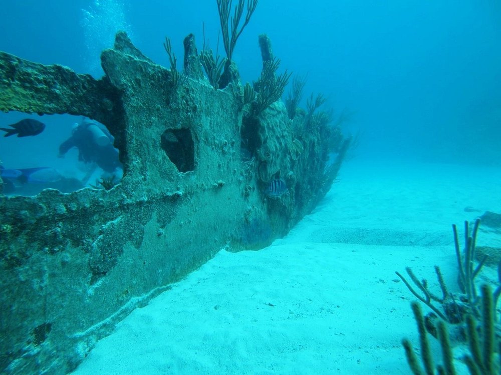 The 10 Best Bermuda Reefs Updated 2023 Tripadvisor 4805