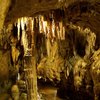 Things To Do in Caverns & Caves, Restaurants in Caverns & Caves