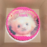 GLUTEN FREE custom picture cake (baby sloth print)