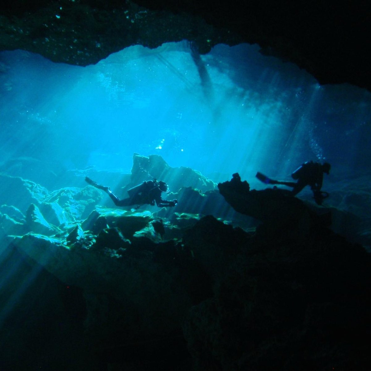 Dive Cenotes Mexico (Akumal) - All You Need to Know BEFORE You Go