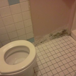 this is the bathroom, when you walked out of the stand up shower all you smelled was the mold!
